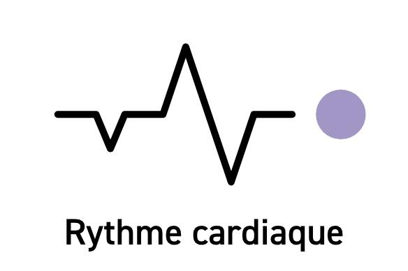 Rythme cardiaque