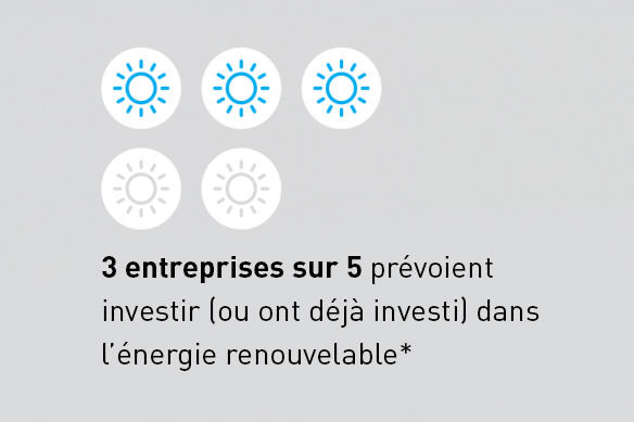 3 entreprises sur 5 prévoient investir (ou ont déjà investi) dans l’énergie renouvelable*